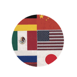 Alicia R. Chacon International Language School logo