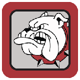 Bednarcik Junior High School logo