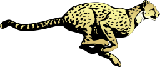 Cameron Elementary School logo