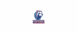 Cato Ridge Middle School logo