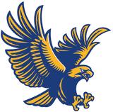 Channelview High School logo