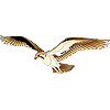 Hooe, Lida Elementary logo
