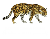Jackson Middle School logo