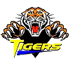 Jones, Anson Elementary logo