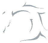 Marine Creek Middle School logo