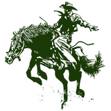 McCollum High School logo