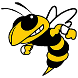 Palo Verde High School logo