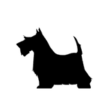 Sageland Elementary logo