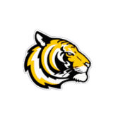 Salem logo