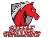 Steele Early College High School logo