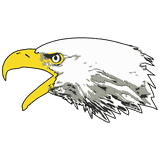 Village Elementary logo
